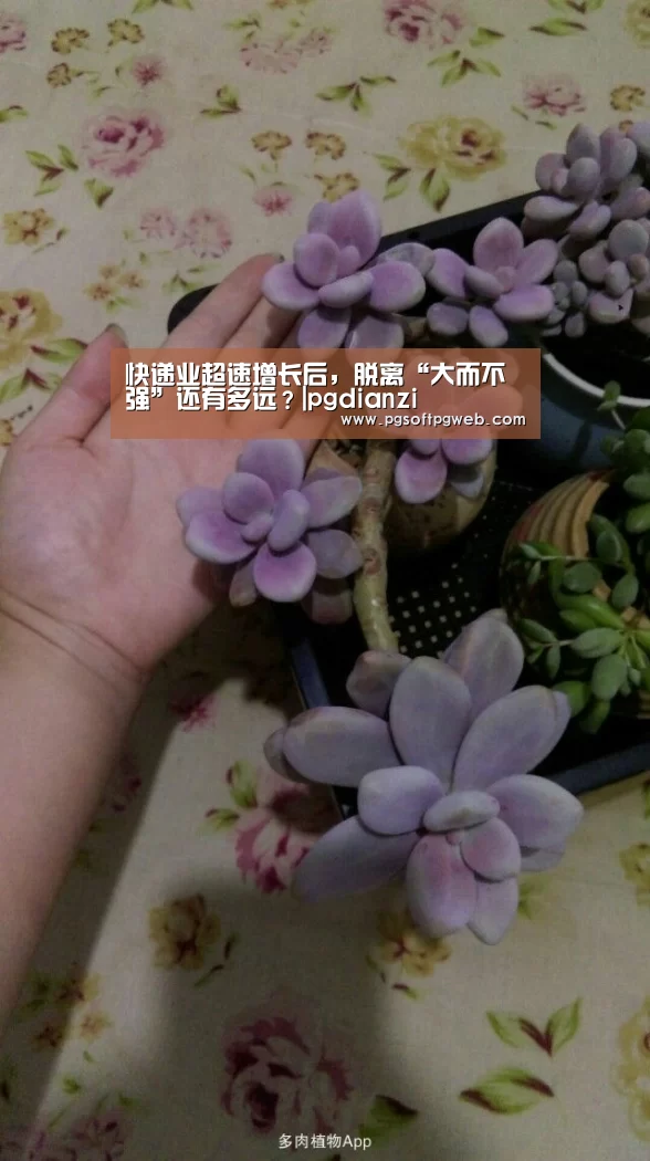 快递业超速增长后,脱离“大而不强”还有多远?|pgdianzi(图2) pg电子官网