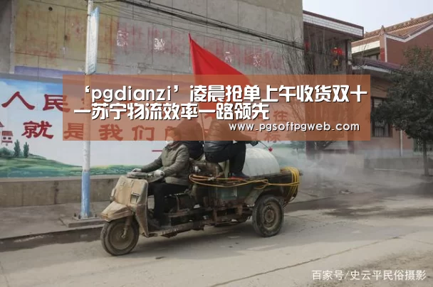 ‘pgdianzi’凌晨抢单上午收货双十一苏宁物流效率一路领先(图1) pg电子