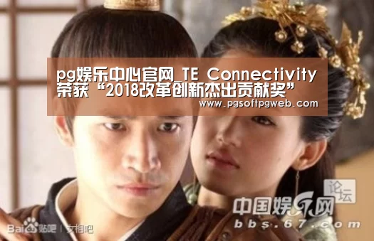 pg娱乐中心官网_TE Connectivity荣获“2018改革创新杰出贡献奖”(图2)