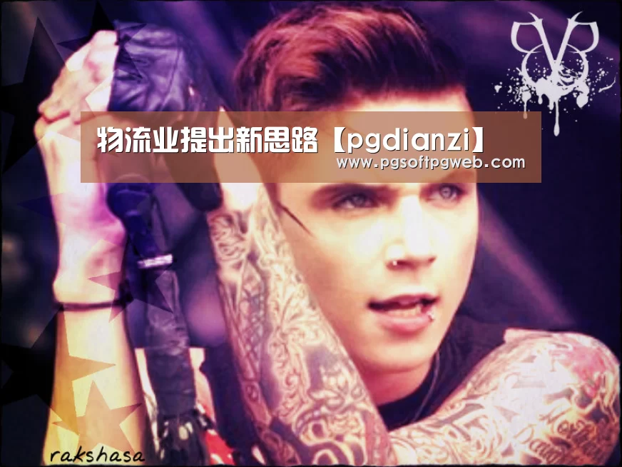 物流业提出新思路【pgdianzi】(图1)