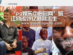 ‘pg娱乐中心官网’皖江物流29亿断臂求生 大股东将实施重组(图3) ‘pg娱乐中心官网’皖江物流29亿断臂求生 大股东将实施重组(图3)